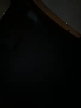 Snapshot of MerlinDave chatting on January 11, 2025, 1:48 am MerlinDave online show from January 11, 2025, 1:48 am