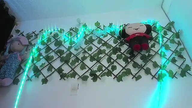 Pucaa  online show from December 13, 2024, 1:37 am