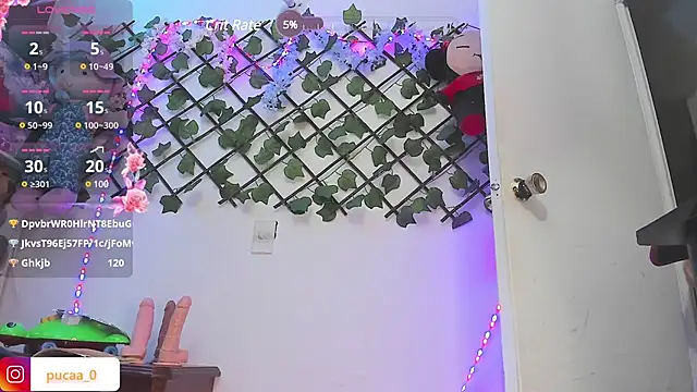 Pucaa  online show from December 20, 2024, 4:53 am