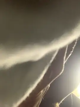 Boysex227 online show from November 11, 2025, 11:16 pm