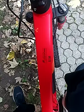 maleesa online show from October 4, 2025, 5:16 am