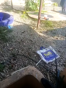 Snapshot of CuchiCuchi chatting on September 12, 2025, 9:04 pm CuchiCuchi online show from September 12, 2025, 9:04 pm