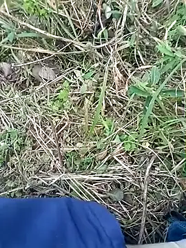 Snapshot of Nkumar173 chatting on November 8, 2025, 11:54 am Nkumar173 online show from November 8, 2025, 11:54 am