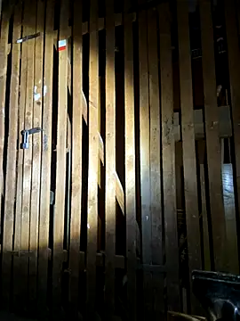 Snapshot of czruz chatting on September 20, 2025, 3:35 pm czruz online show from September 20, 2025, 3:35 pm