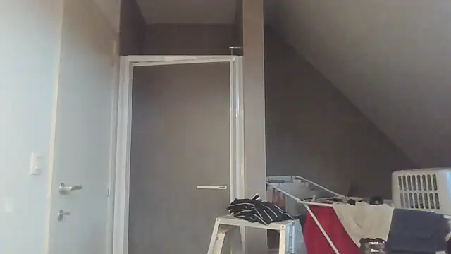 Vekie 007 online show from July 17, 2026, 4:08 am