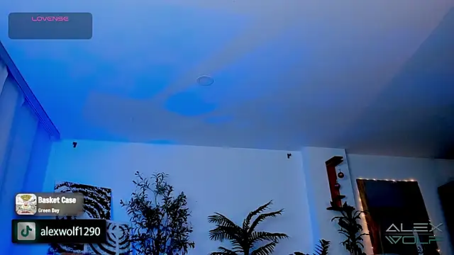 alex wolf  online show from January 17, 2025, 5:21 am