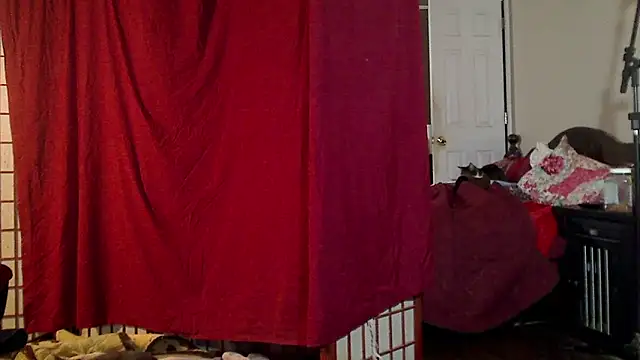 Ireallysquirt online show from January 16, 2025, 7:28 am