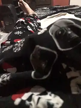 mivergateculeabienrico online show from April 8, 2026, 7:19 am