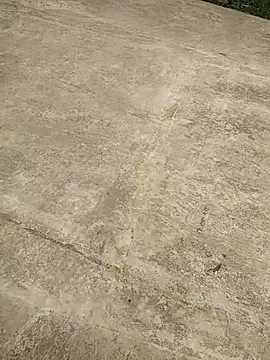 Mafiya1604 online show from September 19, 2025, 7:32 am