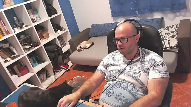 ravingr4d4 online show from October 11, 2025, 8:51 pm