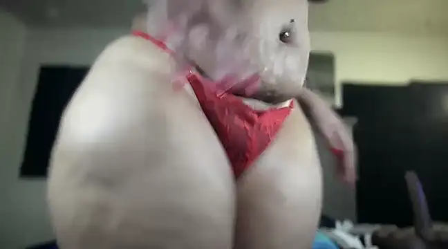 Snapshot of cocaNutt chatting on December 12, 2024, 12:22 pm cocaNutt online show from December 12, 2024, 12:22 pm