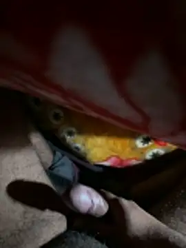 delhiboyz1 online show from January 7, 2026, 1:30 am