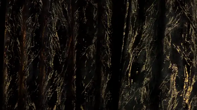 Snapshot of MiaCharm chatting on February 24, 2026, 11:47 pm MiaCharm online show from February 24, 2026, 11:47 pm