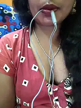 Snapshot of jasss-11 chatting on February 13, 2025, 6:27 pm jasss-11 online show from February 13, 2025, 6:27 pm