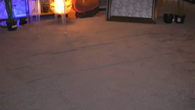 EvaZane online show from January 29, 2025, 3:04 pm