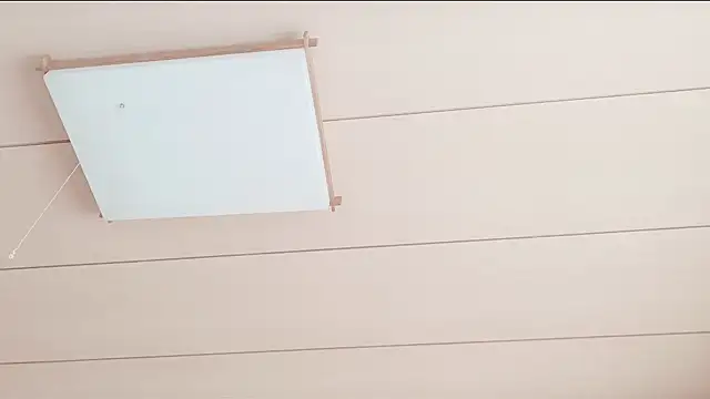 xxArisaxx online show from January 10, 2026, 6:04 am