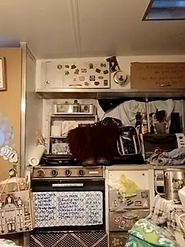 Snapshot of whitetrashdirtyslut chatting on March 18, 2026, 1:14 pm whitetrashdirtyslut online show from March 18, 2026, 1:14 pm