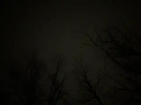 Snapshot of watermellonpussy chatting on March 23, 2025, 6:37 am watermellonpussy online show from March 23, 2025, 6:37 am