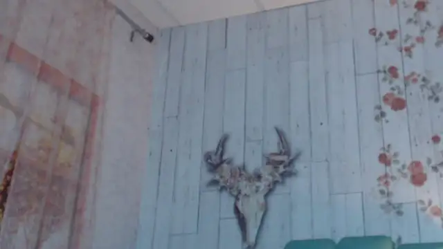 Alison Simmons online show from February 5, 2025, 11:44 am