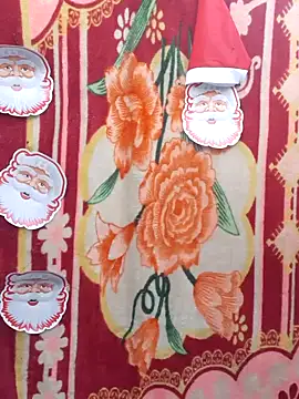 Snapshot of Burhade-- chatting on December 25, 2024, 2:14 am Burhade-- online show from December 25, 2024, 2:14 am