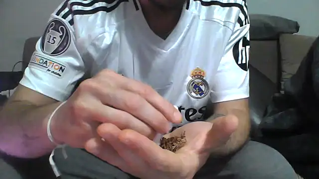 Cipotaz0 online show from January 3, 2025, 8:32 pm