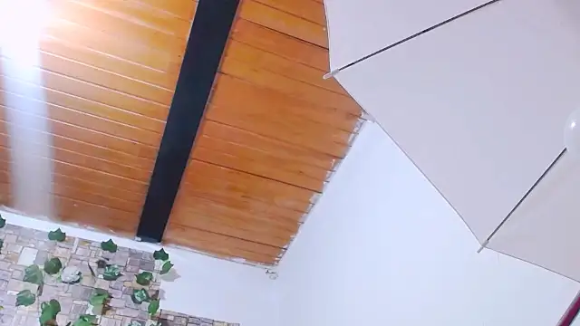 MaidenGame online show from February 19, 2026, 3:19 pm