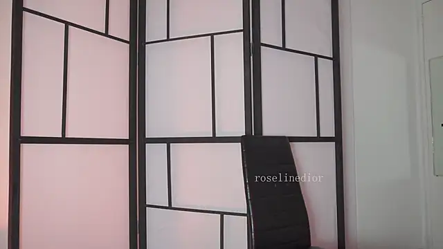 roselinedior online show from February 24, 2026, 4:49 pm