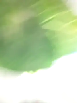 Snapshot of Wanda_and_cosmo_ chatting on March 7, 2025, 8:55 pm Wanda and cosmo online show from March 7, 2025, 8:55 pm