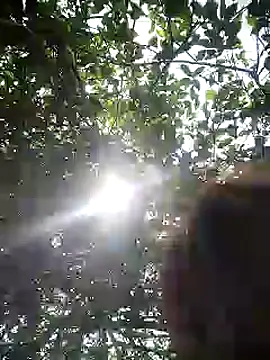 scarleet 17 online show from February 20, 2025, 6:02 pm