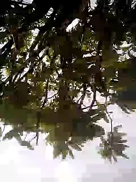 scarleet 17 online show from March 11, 2025, 7:03 pm