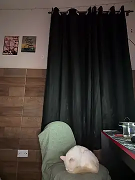 izumikarol online show from March 11, 2026, 3:12 am