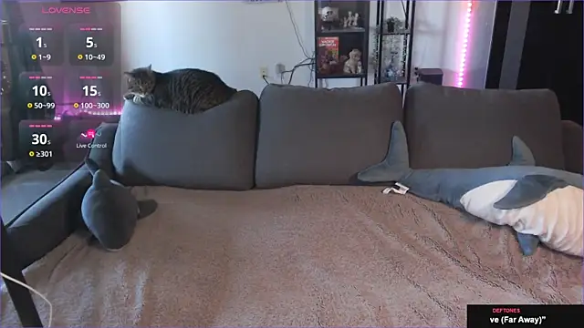 Snapshot of Clairedelilah chatting on January 21, 2025, 8:32 pm Clairedelilah online show from January 21, 2025, 8:32 pm