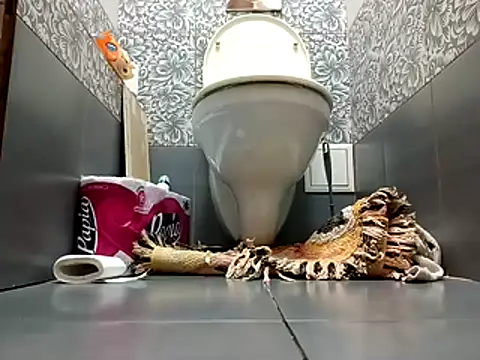 zsd off online show from November 8, 2025, 12:27 pm