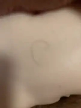 Snapshot of Beijing2000 chatting on November 8, 2025, 12:55 am Beijing2000 online show from November 8, 2025, 12:55 am