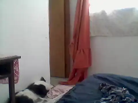 mariy  online show from December 1, 2025, 3:50 pm