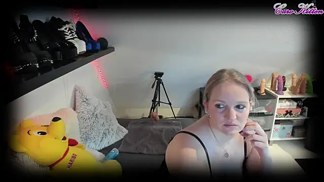 caro kitten online show from February 15, 2025, 10:22 am