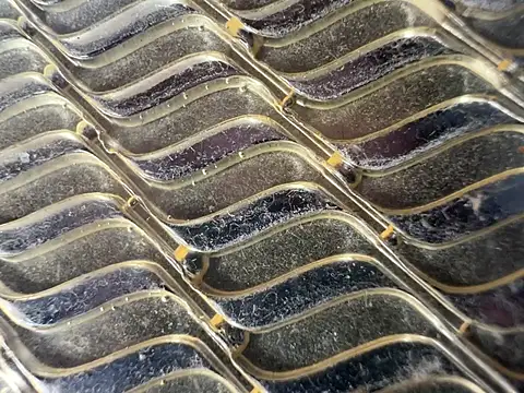 Snapshot of Amarok39 chatting on January 6, 2025, 5:06 pm Amarok39 online show from January 6, 2025, 5:06 pm