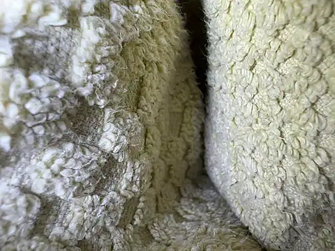 Snapshot of Amarok39 chatting on February 13, 2025, 12:54 pm Amarok39 online show from February 13, 2025, 12:54 pm