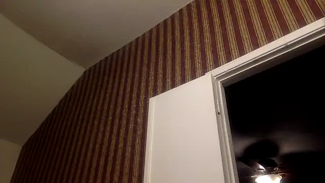 GForceSavage online show from February 11, 2026, 5:56 am