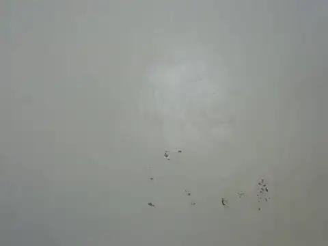 Rasta tattooed online show from February 6, 2026, 10:46 pm