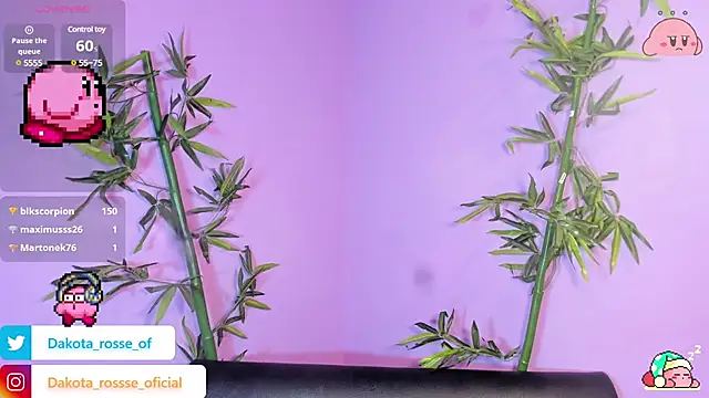 DakotaRosee online show from February 17, 2025, 5:25 am