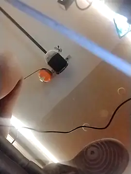 halobabe7620 online show from October 14, 2025, 3:35 pm