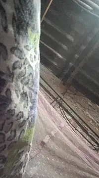 HotSexyBoudi online show from December 21, 2024, 9:01 am