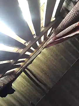 HotSexyBoudi online show from September 28, 2025, 9:14 am