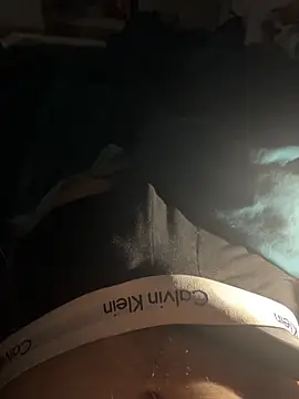 Snapshot of bdsm19 chatting on February 15, 2026, 12:29 am bdsm19 online show from February 15, 2026, 12:29 am