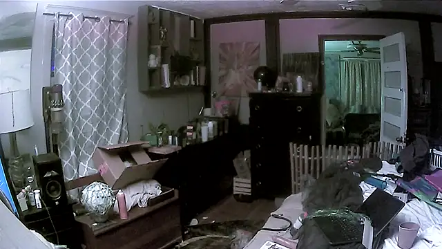 trash4cash online show from March 13, 2026, 4:19 am