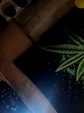 ySqmbVanbe online show from October 17, 2025, 2:41 pm