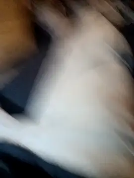 ySqmbVanbe online show from November 11, 2025, 7:14 pm