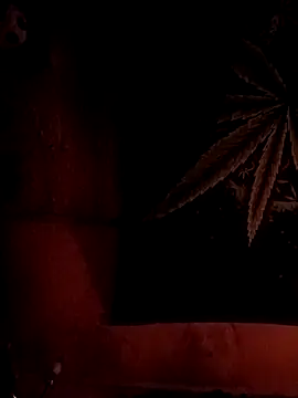 Snapshot of ySqmbVanbe chatting on February 6, 2026, 8:29 am ySqmbVanbe online show from February 6, 2026, 8:29 am