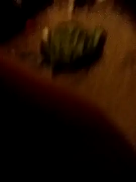 Snapshot of ySqmbVanbe chatting on February 16, 2026, 1:35 am ySqmbVanbe online show from February 16, 2026, 1:35 am